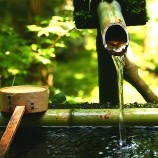 Bamboo water fountain wallpaper