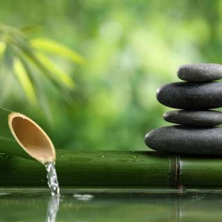 Bamboo water fountain wallpaper