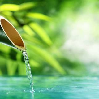 Bamboo water fountain wallpaper