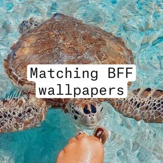 Preppy besties wallpaper