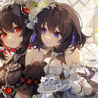 Seele Honkai wallpaper