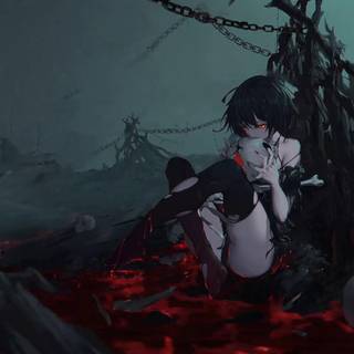 Seele Honkai wallpaper