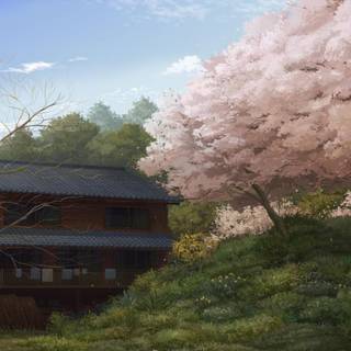 Drawn nature wallpaper