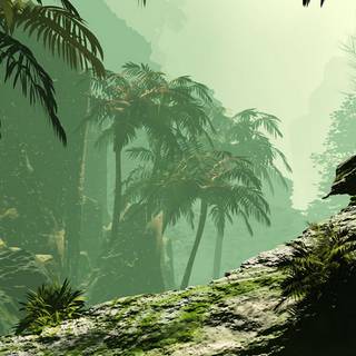 Jungle art wallpaper