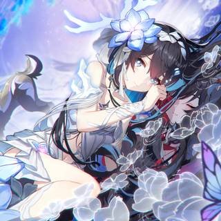 Seele Honkai wallpaper