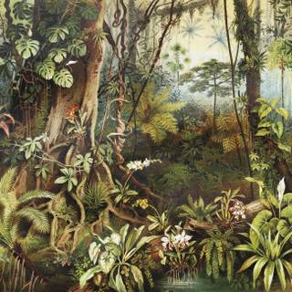 Jungle art wallpaper