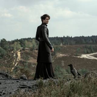 Tom Sturridge wallpaper