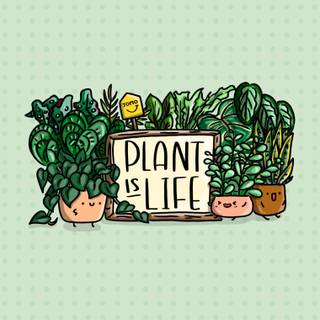 Cartoon plant wallpaper
