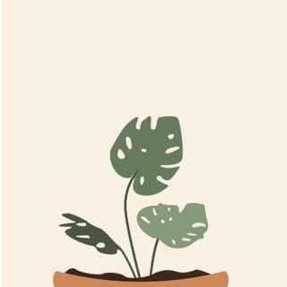 Cartoon plant wallpaper
