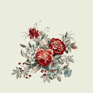 Cartoon plant wallpaper