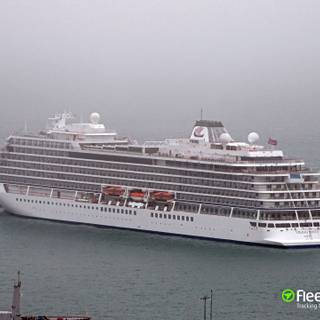 Viking Venus wallpaper