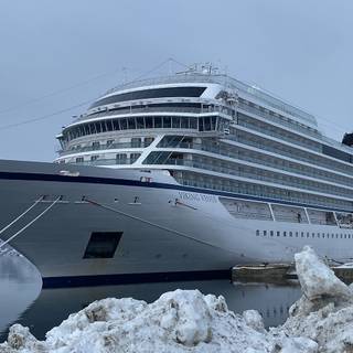 Viking Venus wallpaper