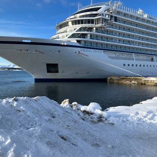 Viking Venus wallpaper