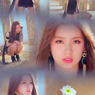 Hann Gidle wallpaper