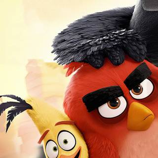 Angry Birds 4k iPhone wallpaper