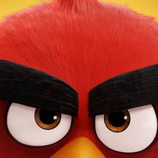 Angry Birds 4k iPhone wallpaper
