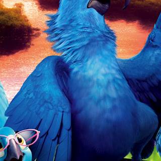 Angry Birds 4k iPhone wallpaper