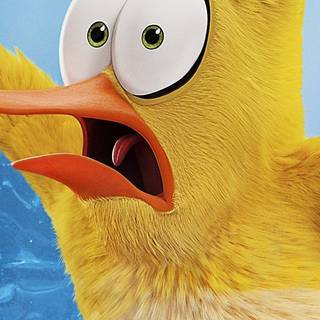 Angry Birds 4k iPhone wallpaper