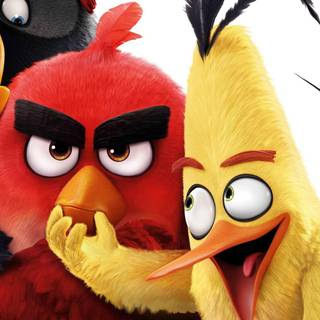 Angry Birds 4k iPhone wallpaper