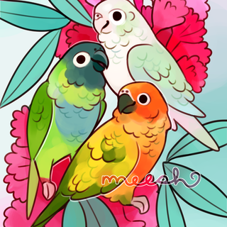 Perruche Kawaii wallpaper