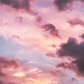 Pink 4k phone wallpaper