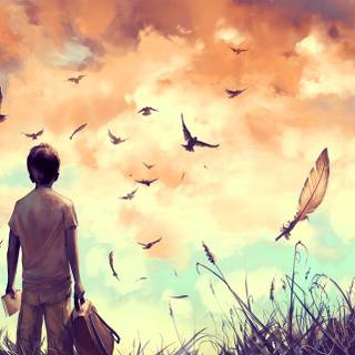 Freedom 4k wallpaper