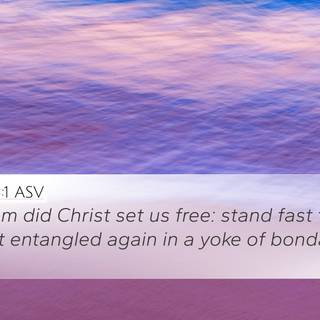 Freedom 4k wallpaper