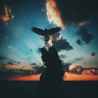 Freedom 4k wallpaper