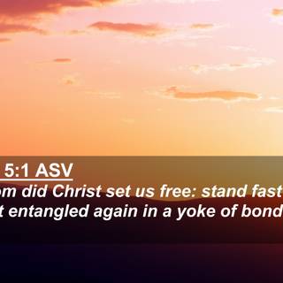 Freedom 4k wallpaper