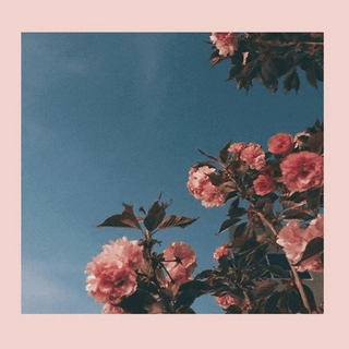 iPad aesthetic 4k wallpaper