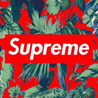 Supreme 4k phone wallpaper