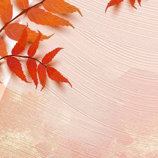 Brown simple autumn wallpaper