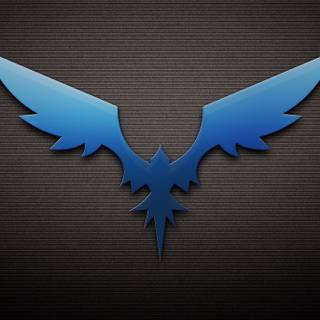 Blue bird 4k wallpaper