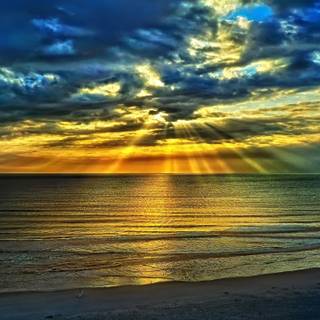 Sunset nature summer wallpaper