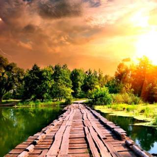 Sunset nature summer wallpaper