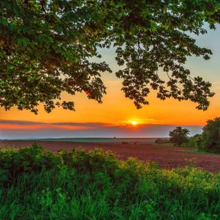 Sunset nature summer wallpaper