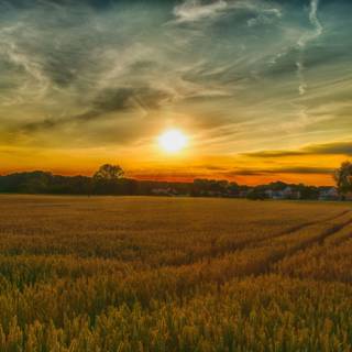 Sunset nature summer wallpaper