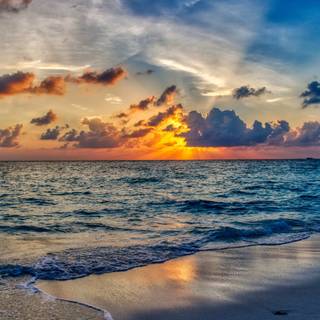 Sunset nature summer wallpaper