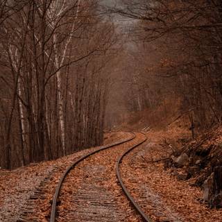 Autumn track wallpaper