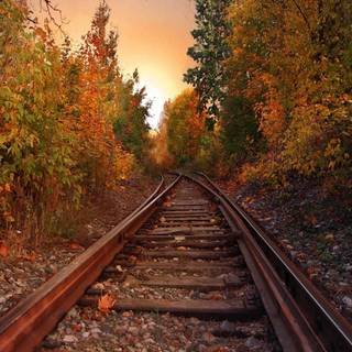 Autumn track wallpaper
