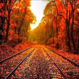 Autumn track wallpaper