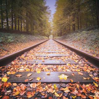 Autumn track wallpaper