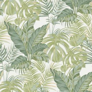 Tropical leaves 2023 wallpaper