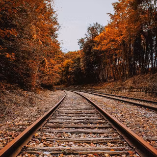 Autumn track wallpaper