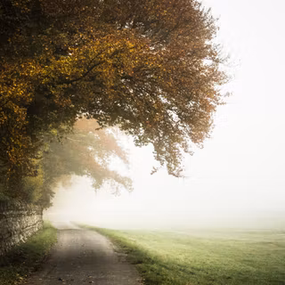 Autumn track wallpaper