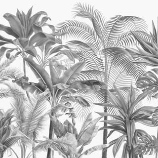 Tropical leaves 2023 wallpaper