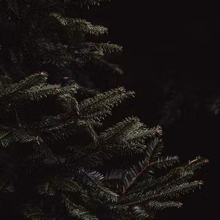 Aesthetic dark iPhone XS wallpaper