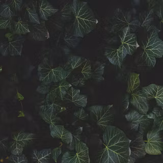 Aesthetic dark iPhone XS wallpaper