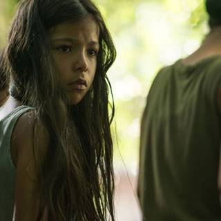 Sound of Freedom wallpaper