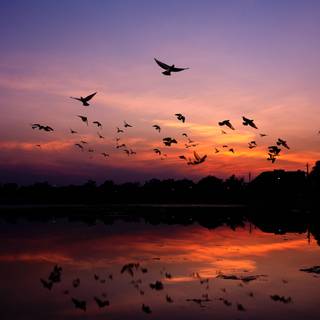 Dramatic sky wallpaper